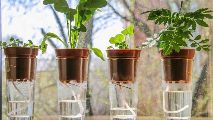 How To Winterize A Self-Watering Planter If You Can't Bring It Indoors