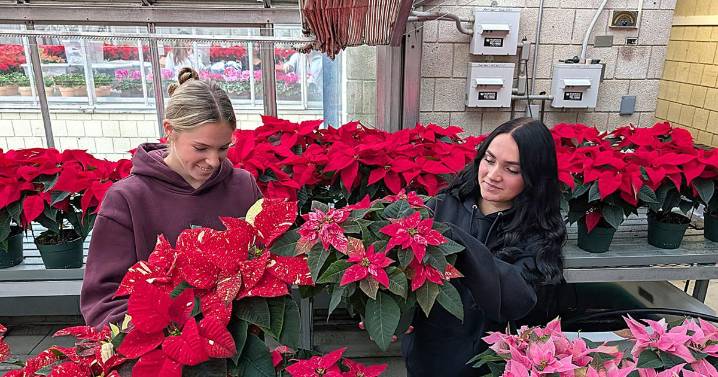 Woodbury FFA Wreath Sale and Pet Photography Event at Nonnewaug High School
