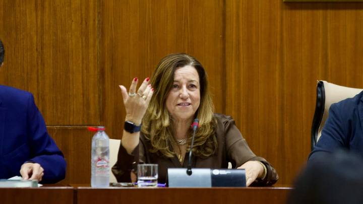 La educación tributaria llegará a los colegios e institutos de Andalucía