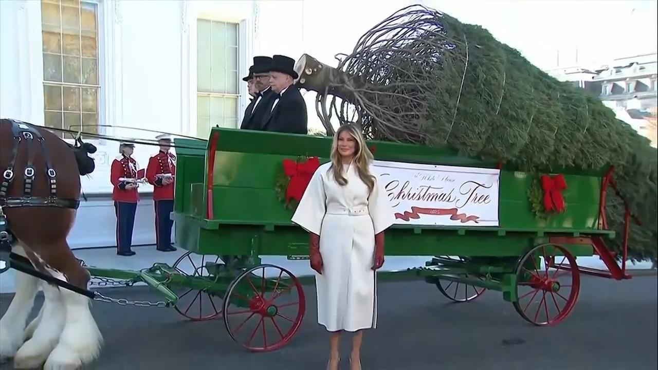 US first lady Melania Trump welcomes 'beautiful' Christmas tree to White House