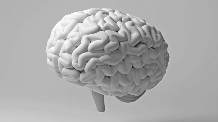 Study Links Gum Disease With White Matter Damage in The Brain