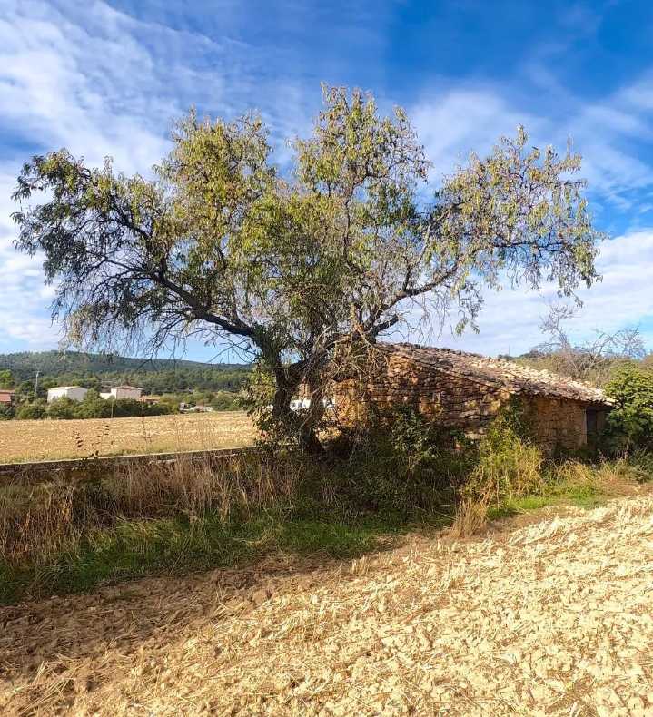 ¿Y si tu rincón en el pueblo con vistas a los Mallos de Riglos costara solo 3.000 euros? La Oficineta lo hace posible