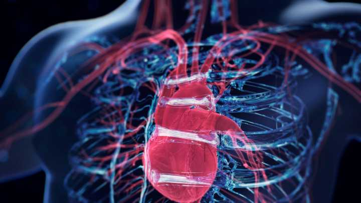 Los fármacos betabloqueantes no aportan beneficios en pacientes con función cardíaca normal tras un infarto