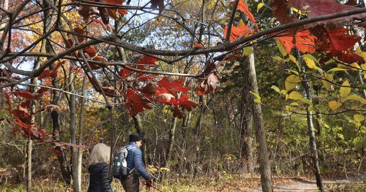 Eye On Illinois: Park gets cash infusion; sports bets down and up; remember 27 time zones?