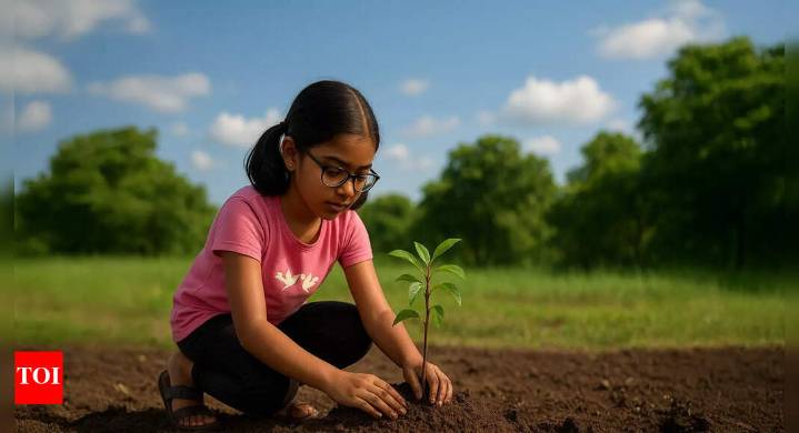 India’s tree numbers are rising, but their strength is falling