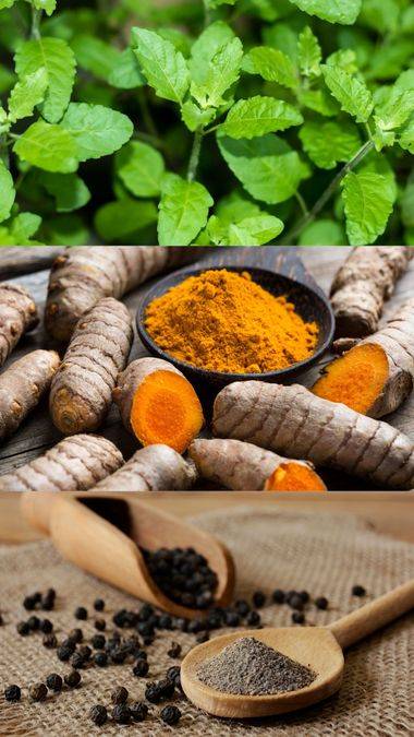 Winter Wellness Essentials: 6 Powerful Herbs to Boost Immunity and Digestion