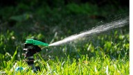 Time to ease up on sprinklers, under once-a-week watering restrictions
