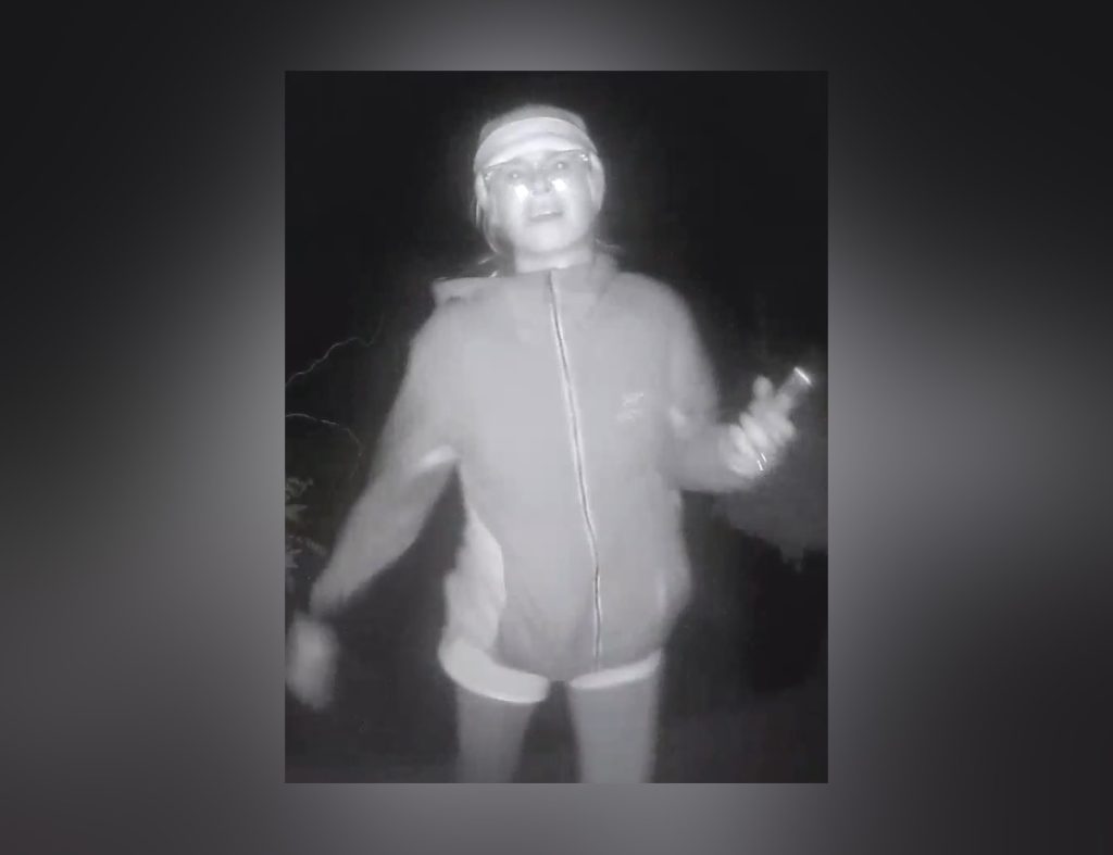 Woman wanted for throwing rocks at houses, cars in SW Calgary
