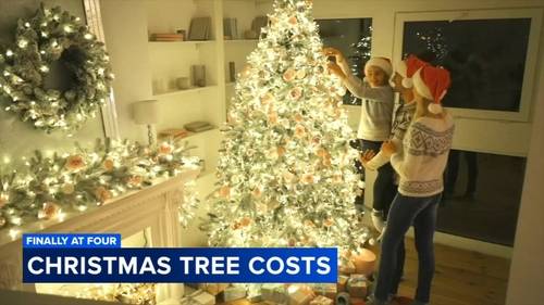 Will Christmas decorations and trees cost more this year? Expert breaks it down