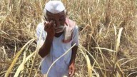 Reeling under loss of crops to floods: Farmer suicides in Marathwada rise to 899; Beed, Chhatrapati Sambhajinagar among worst hit areas