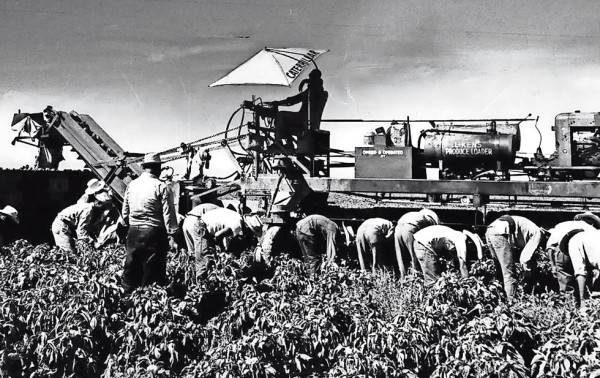 El infierno de los braceros