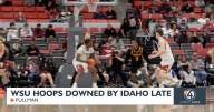 Cougs fall just short in season opener against Idaho