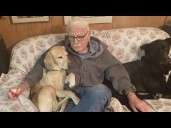 Dad's smelly socks reunite 93-year-old with missing dog in incredible rescue