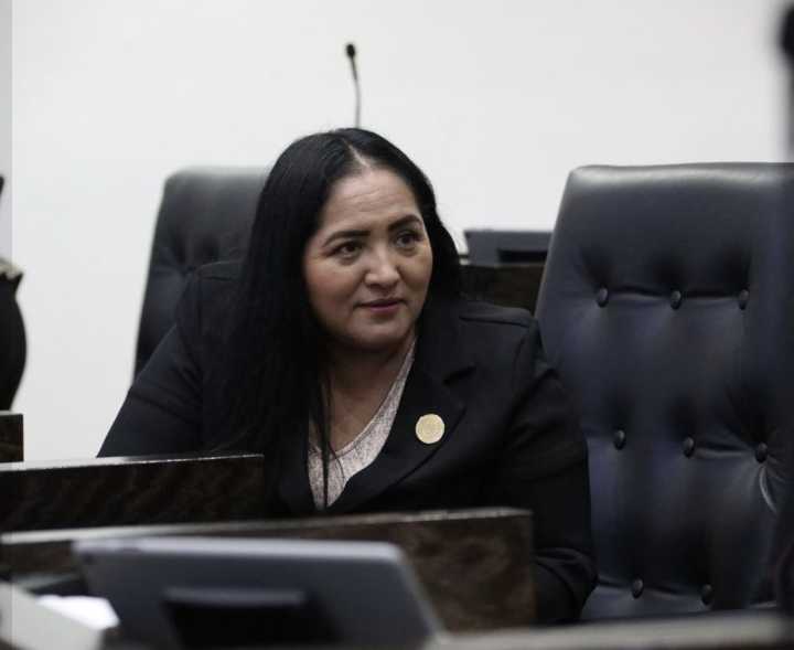 Plantean instalación en parques de unidades de lectura por las bibliotecas públicas