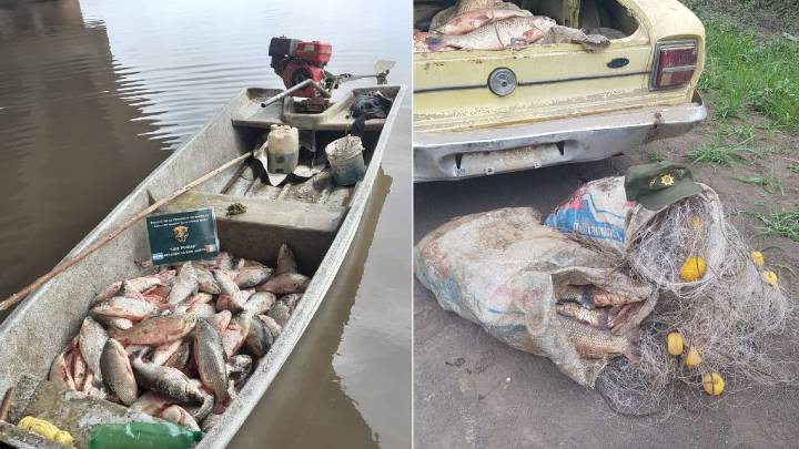 Alarma en el Paraná y suspensión de la exportación de pescado: un informé reveló que la población de sábalo disminuyó un 75%