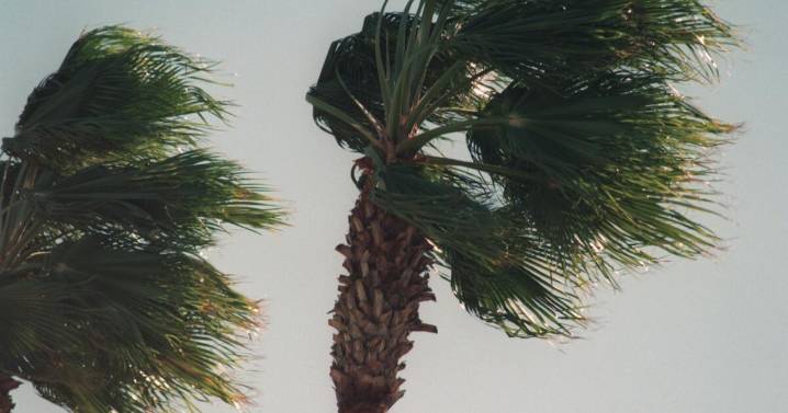 Santa Ana winds expected Sunday night