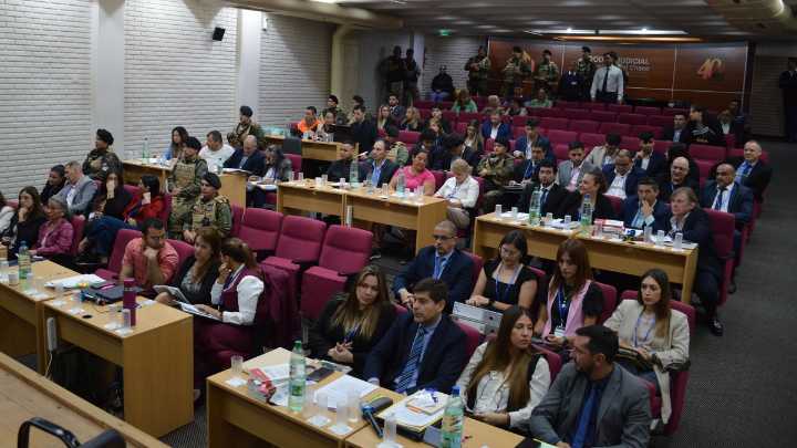 Caso Cecilia Strzyzowski: terminó la jornada con las declaraciones de cuatro testigos