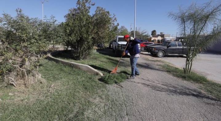 Quitan y retiran hierba en Parque Lineal de Jardines del Valle