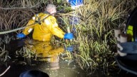 Manchester-by-the-Sea firefighters rescue woman stuck in swamp 