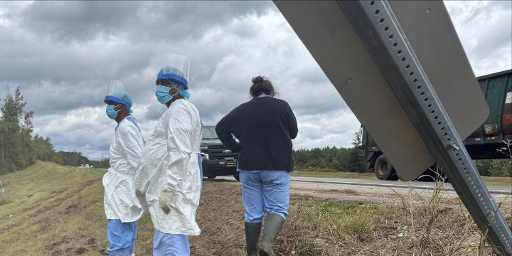 2nd escaped monkey fatally shot, leaving 1 monkey still on the loose after Mississippi crash