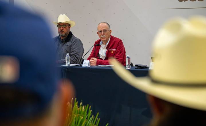 Cierra Agricultura acuerdos directos con productores de trigo panificable