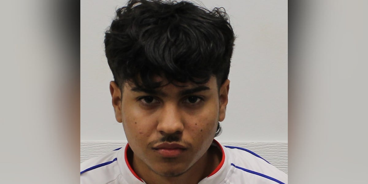 Teen accused of attempting to kill several people with car, including toddler