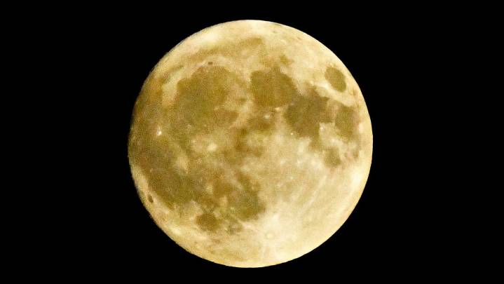 Date, timing and what to know about the Beaver Moon, a supermoon