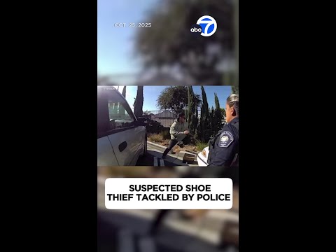 Police tackle suspected shoe thief