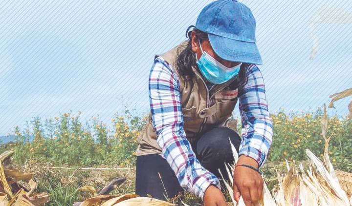 El empleo formal registra retroceso en ocho estados