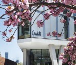 What we know about the closure of Hilton's Graduate Hotel on Roosevelt Island in NYC