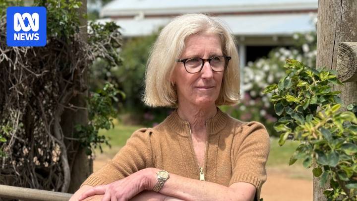 Liz Heggaton lobbies federal parliament for better prostate treatment after husband's death