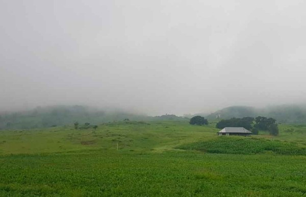 Frío por la mañana y calor por la tarde en gran parte del estado