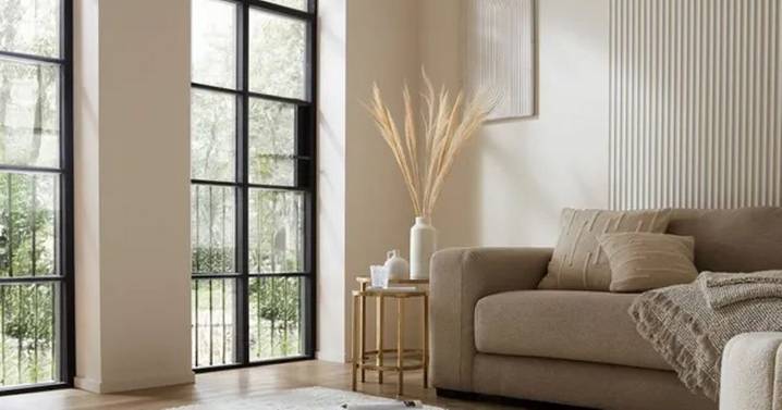 Dunelm's expensive-looking rug slashed to £24 ahead of Black Friday