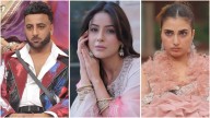 BB19’s Shehbaz calls Farrhana Bhatt ‘DD national heroine,’ actress REPLIES & says THIS about Shehnaaz Gill