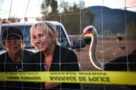 From flu outbreak to ‘Ostrichfest’ to high court, how B.C. ostrich cull saga unfolded