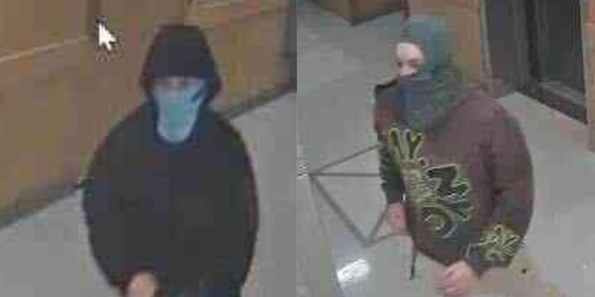 2 Massachusetts men have been arrested in the weekend explosion at Harvard Medical School, FBI says