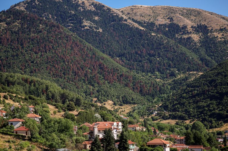 Wildfires, rising temperatures imperil northern hemisphere forests, UN says