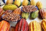 Perú y Suiza sellan alianza para impulsar el cacao sostenible y fortalecer la cadena del chocolate