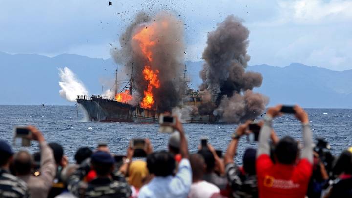 The fish crime detectives who protected the seas