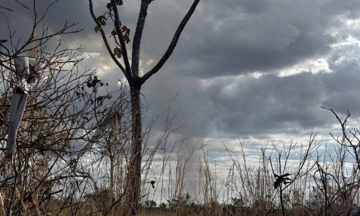 Brigadistas comunitarios, primera línea de defensa contra incendios forestales en Brasil