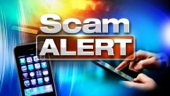 How to Stay Safe From Holiday Shopping Scams