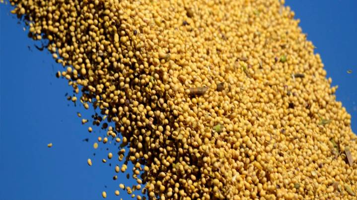 La soja acumuló una ganancia semanal de $15.000 y cerró este viernes a $500.000 por tonelada en Rosario