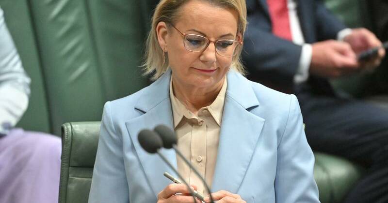 'Can't keep being negative': ex-leader lashes Ley, Libs