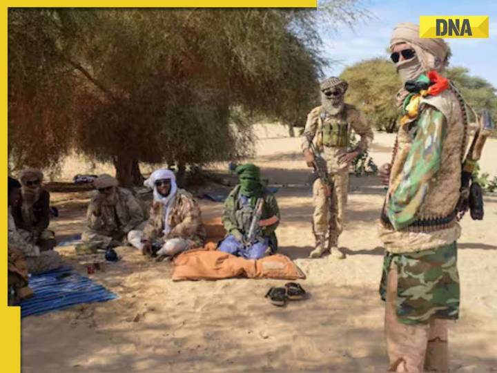 Five Indian nationals abducted in Western African country Mali amid Al