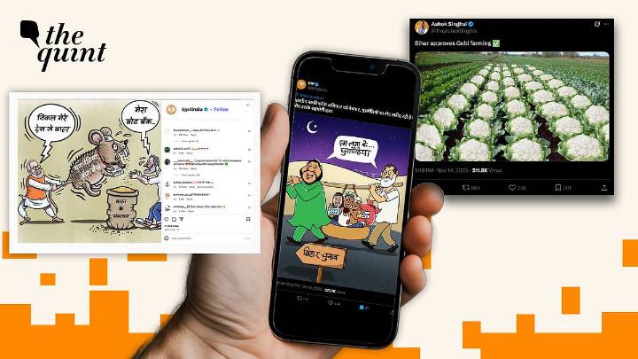 'Gobi Farming,' Muslims as 'Rats': Hateful Digital Campaign in Bihar Polls