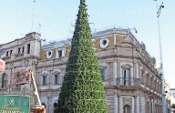 Encenderán 'bosque' navideño en la Plaza de Armas