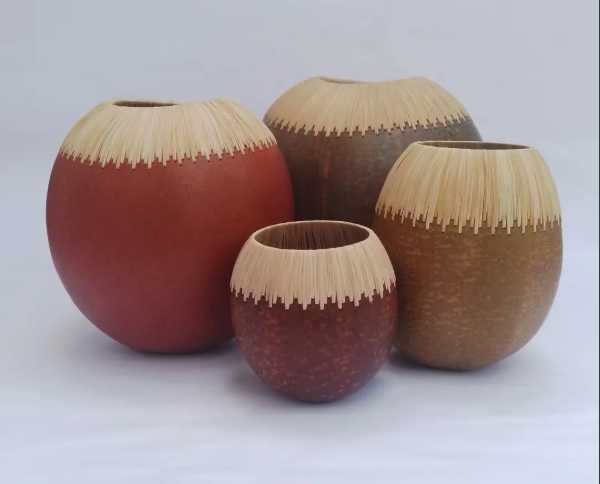 La Tapara: El lienzo natural que guarda el alma de Venezuela