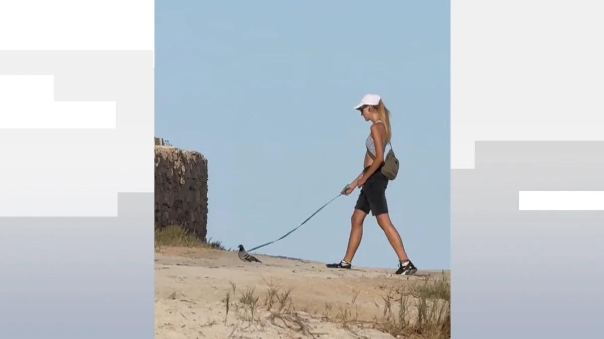 Una joven pasea una paloma con correa en Torrevieja y desata el debate en redes