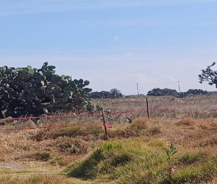 Localizan en una fosa séptica a un hombre desaparecido en San Cristobal