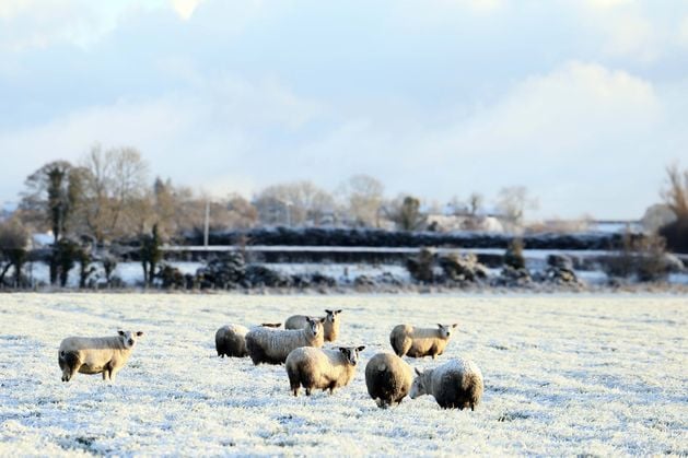 Northern Ireland weather: Met Office yellow warning in place as snow and ice hit